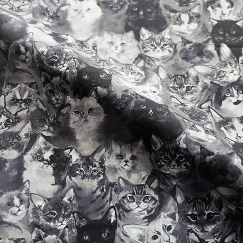 女童黑色"Find your Cat!-Black Cats"芭蕾舞连体衣(高叉183001685HL/Pique/Fog pink)