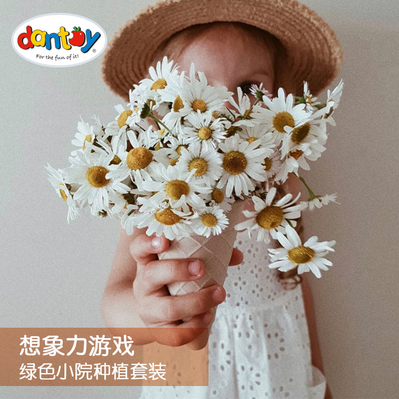 Dantoy绿色小院种植套装