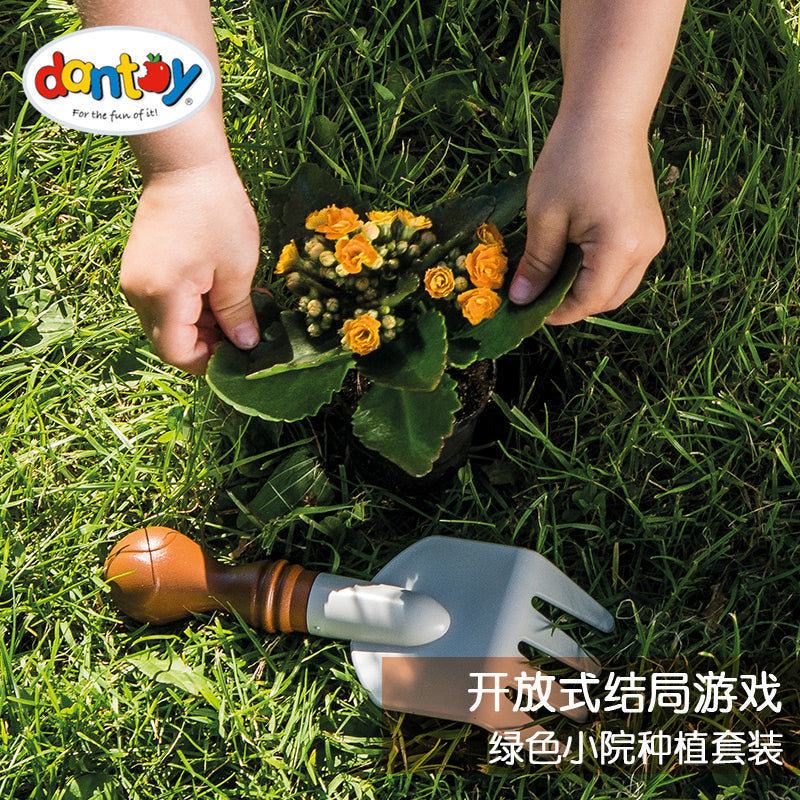 Dantoy绿色小院种植套装