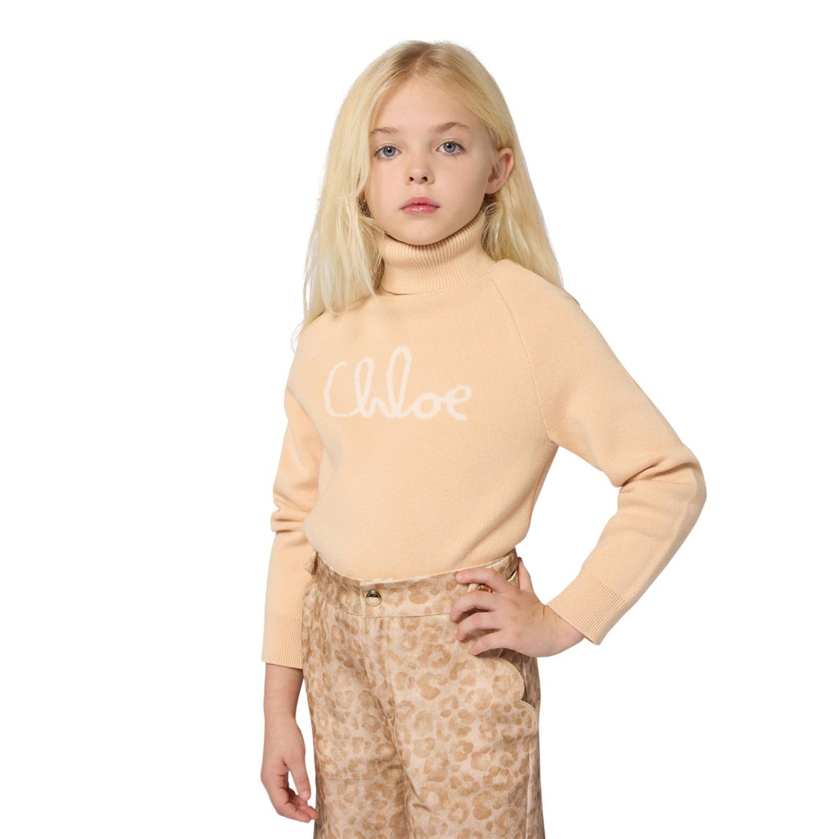 PULL COL ROULE