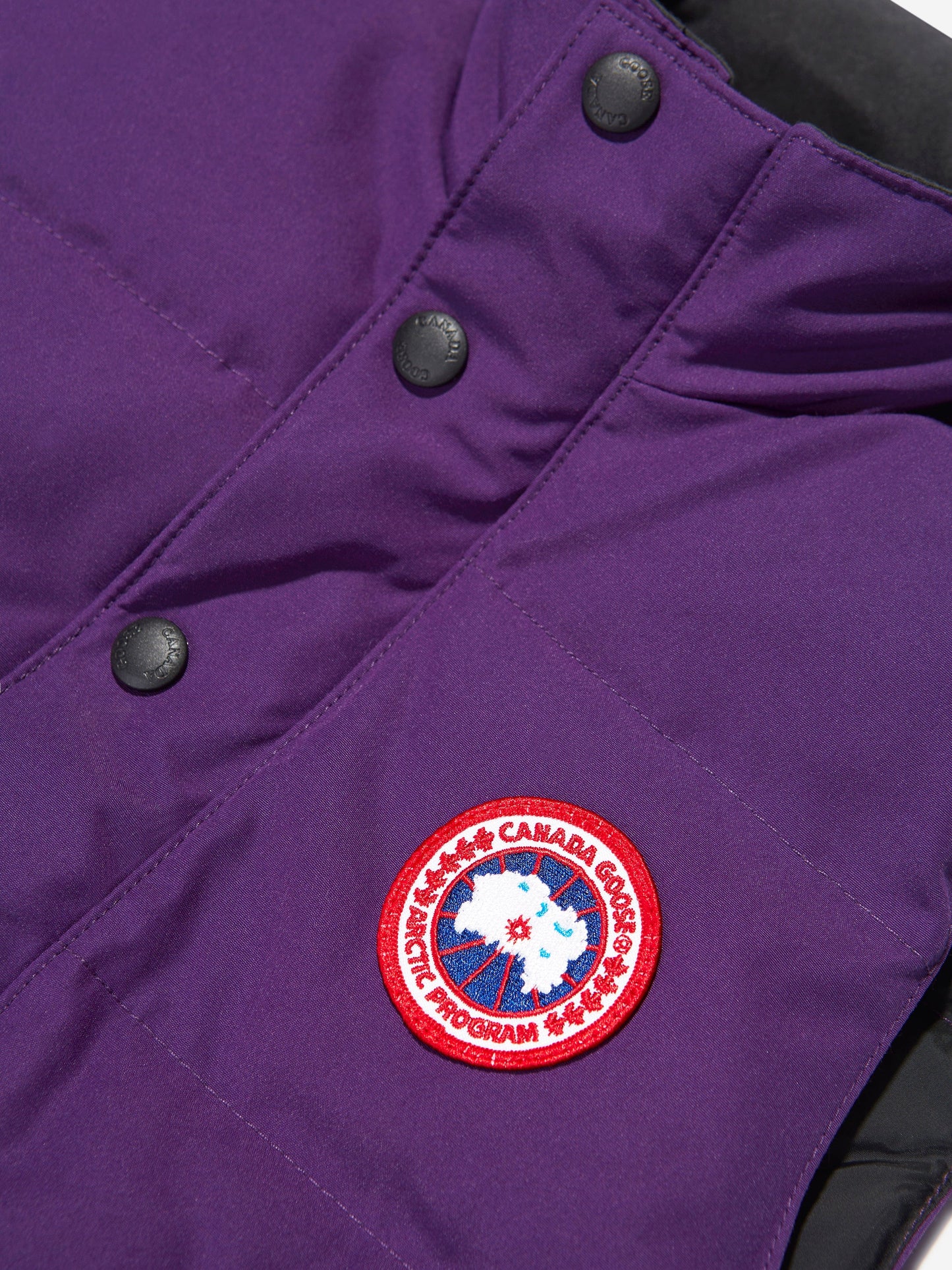 Canada Goose 儿童羽绒填充 Vanier 背心(紫色)