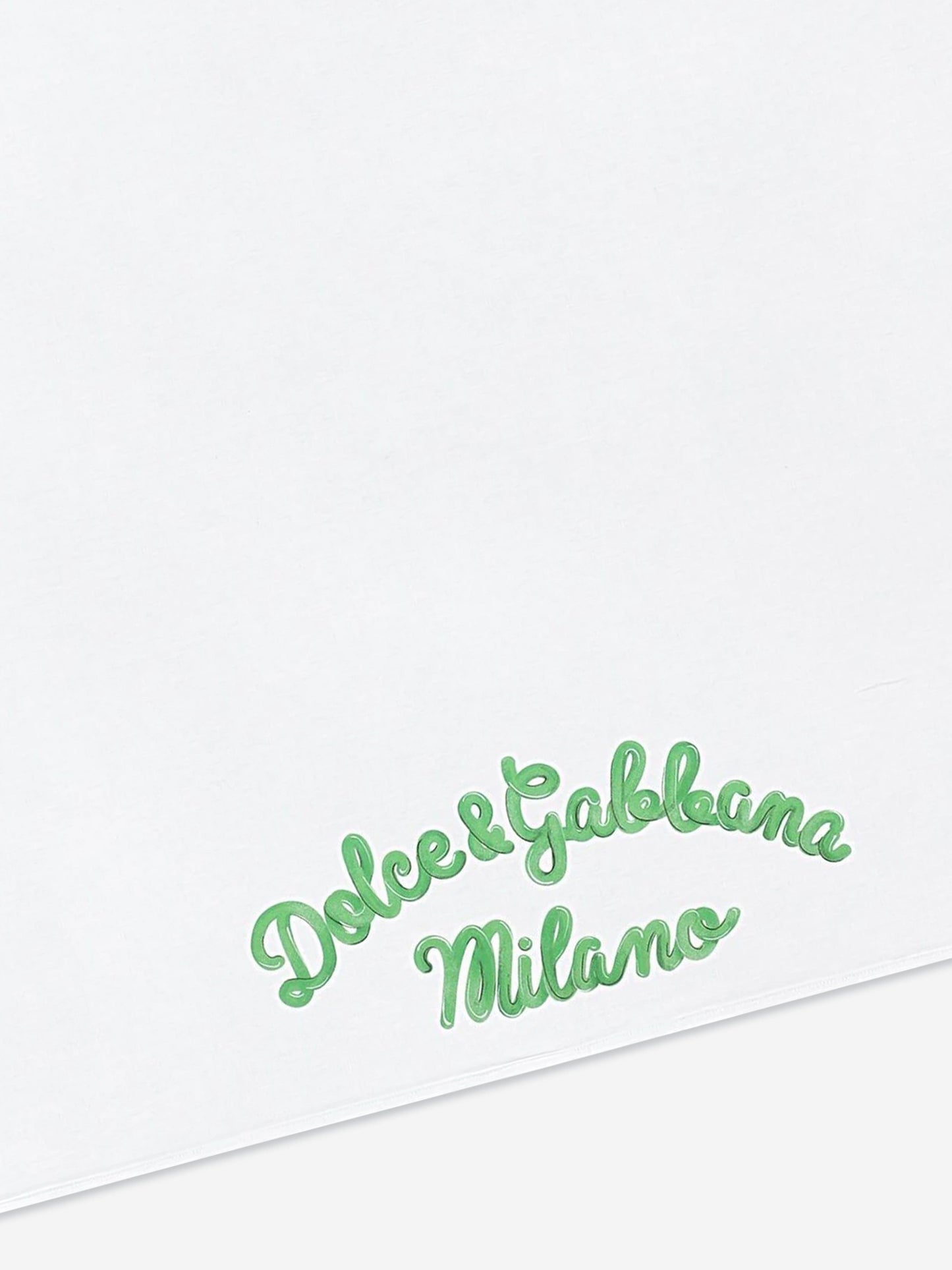 Dolce & Gabbana Baby Maiolica 绿色印花毛毯
