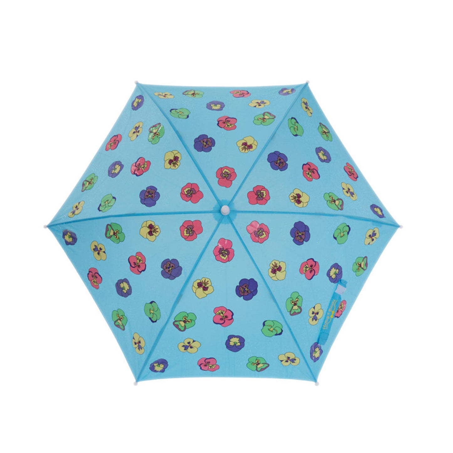 Pansy umbrella