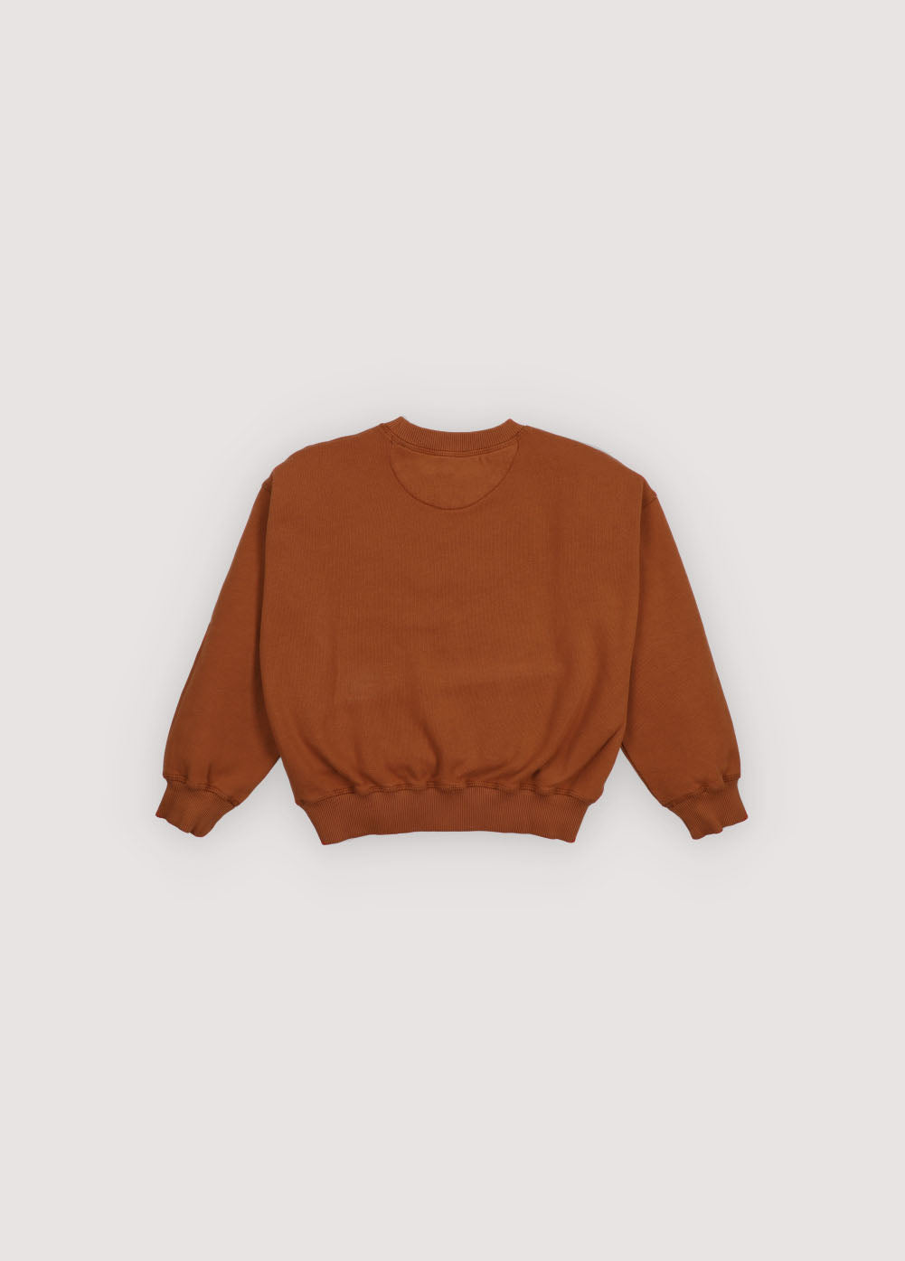 Miguel Sweatshirt Astral Earth