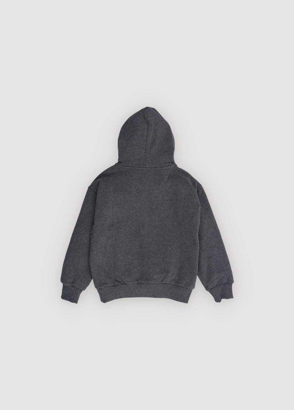 TNS Logo Hood Sweatshirt Galactic Grey Melange