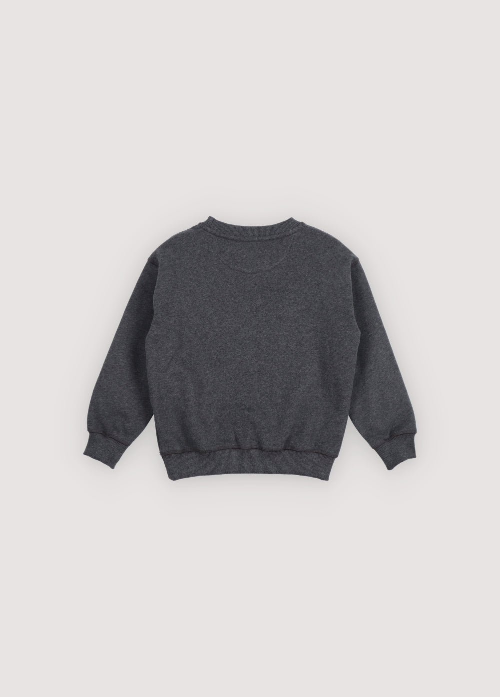 TNS Logo Sweatshirt Galactic Grey Melange
