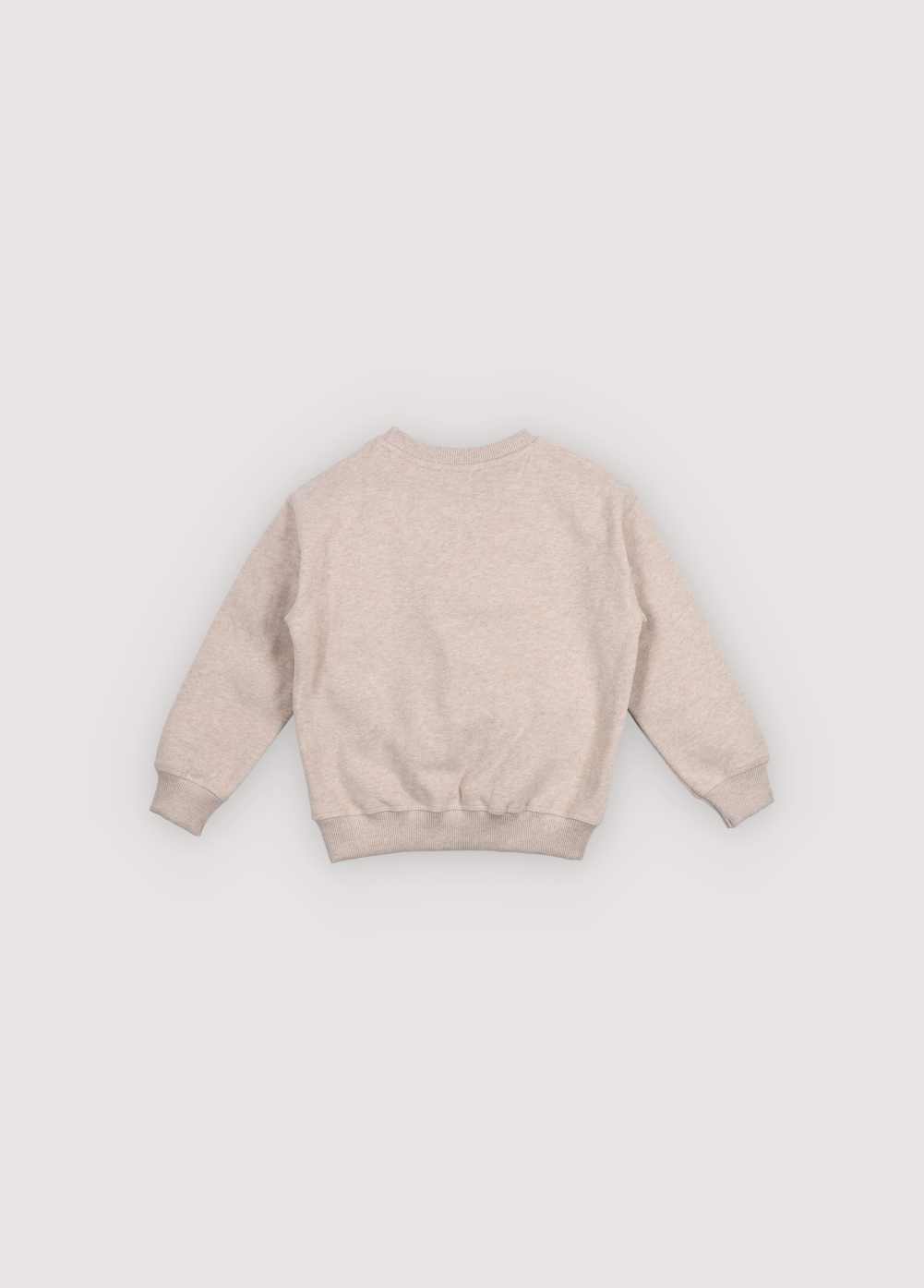 TNS Logo Sweatshirt Moonlight Vigore