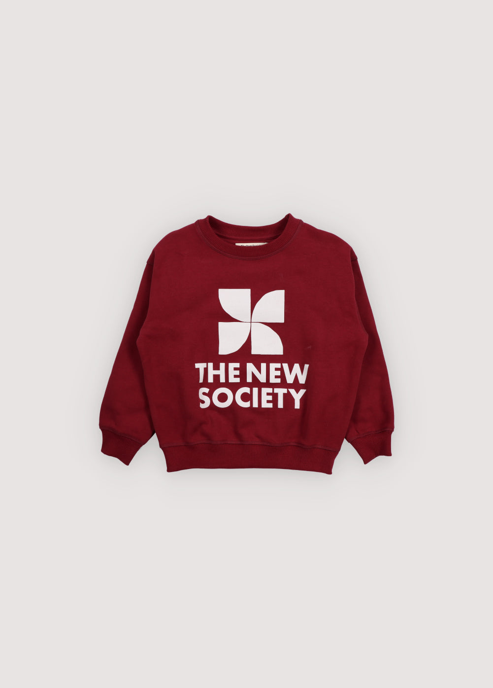 TNS Logo Sweatshirt Plum Fantasy
