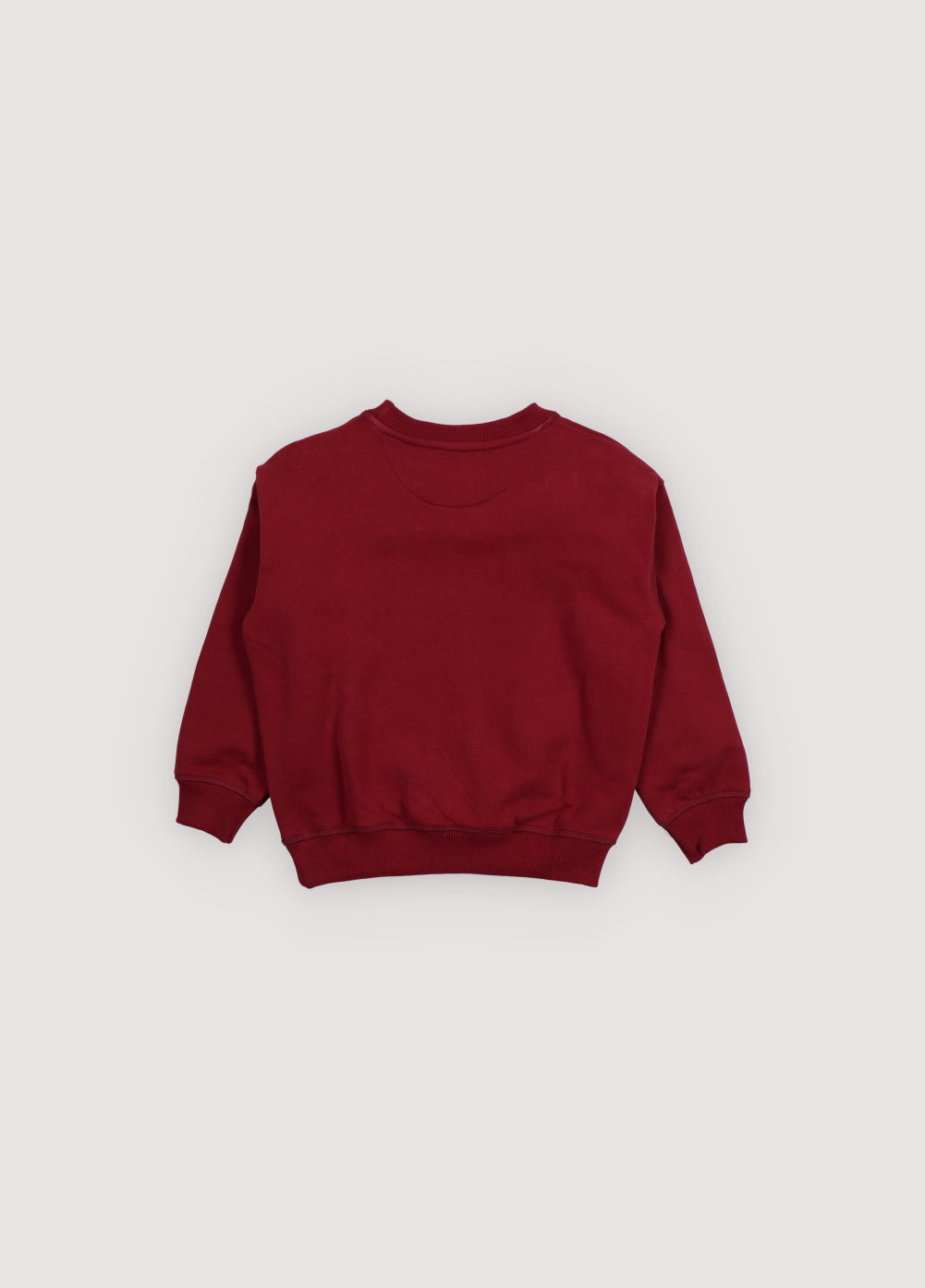 TNS Logo Sweatshirt Plum Fantasy