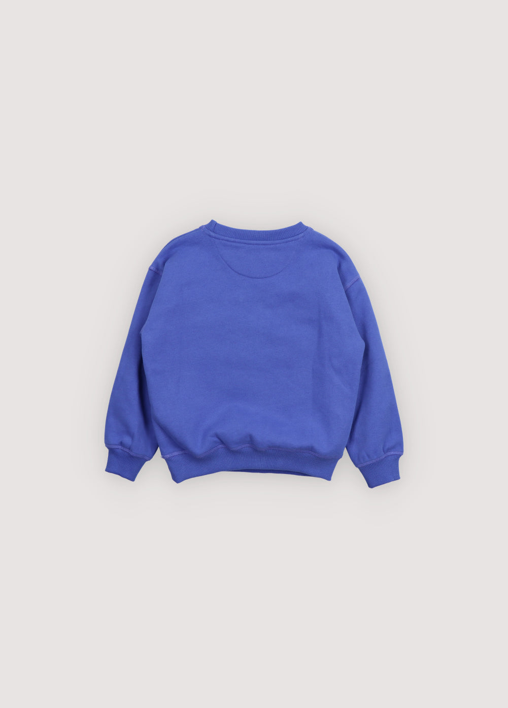TNS Logo Sweatshirt Royal Purple