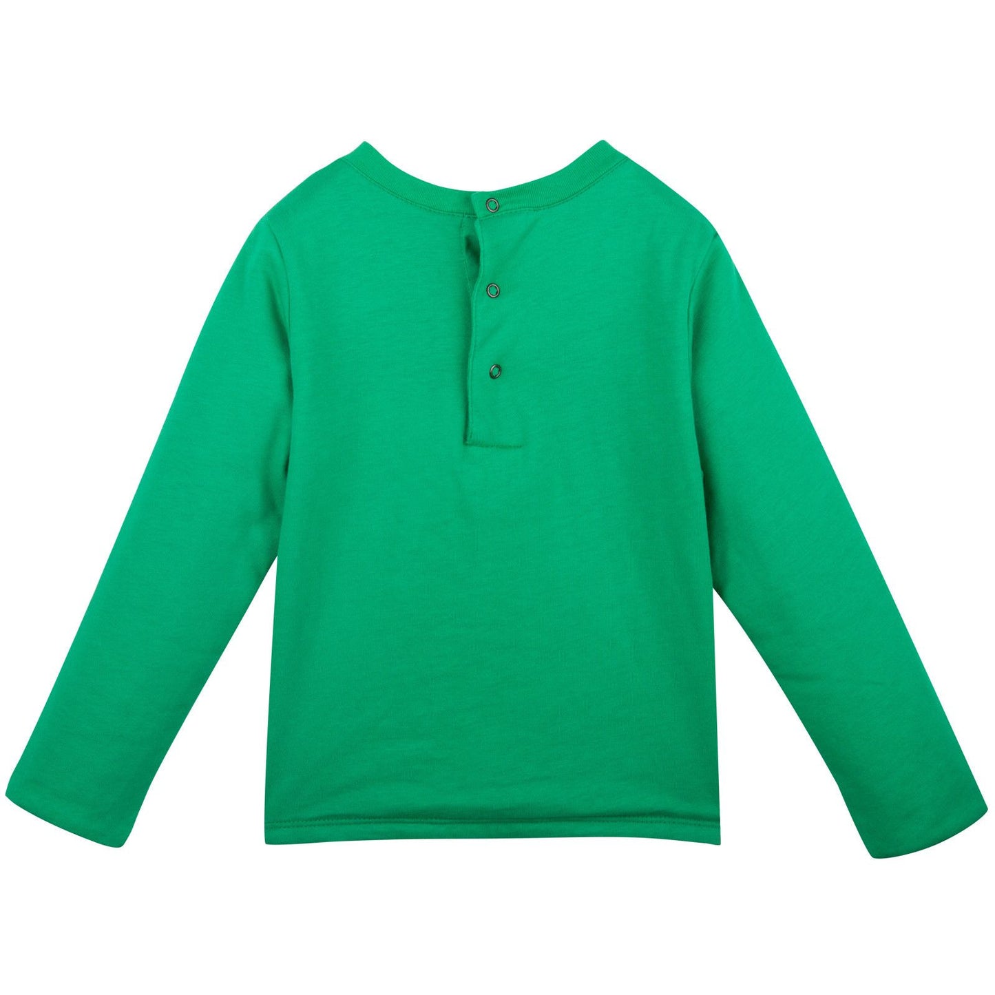 Baby Green Tiger Printed Sweatshirt With Blue Lining