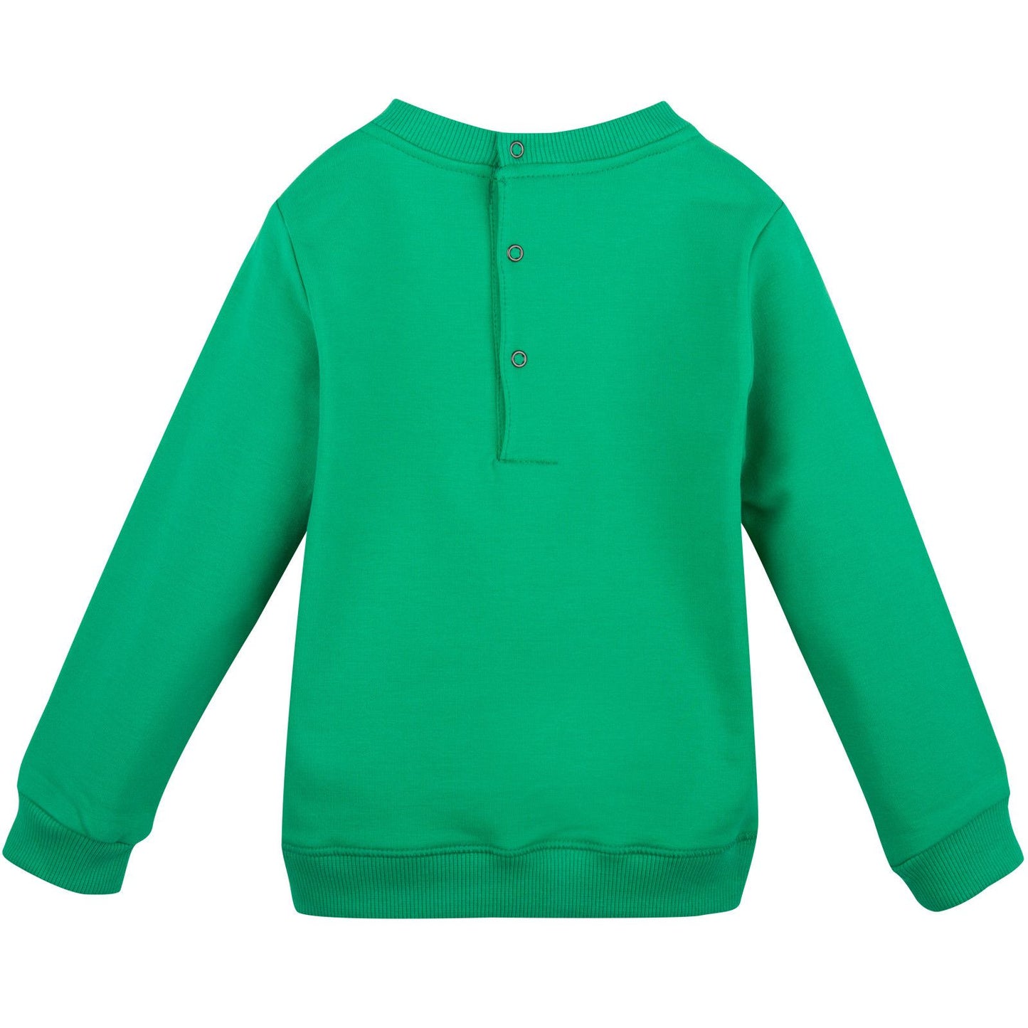 Baby Green Tiger Embroidered Sweatshirt