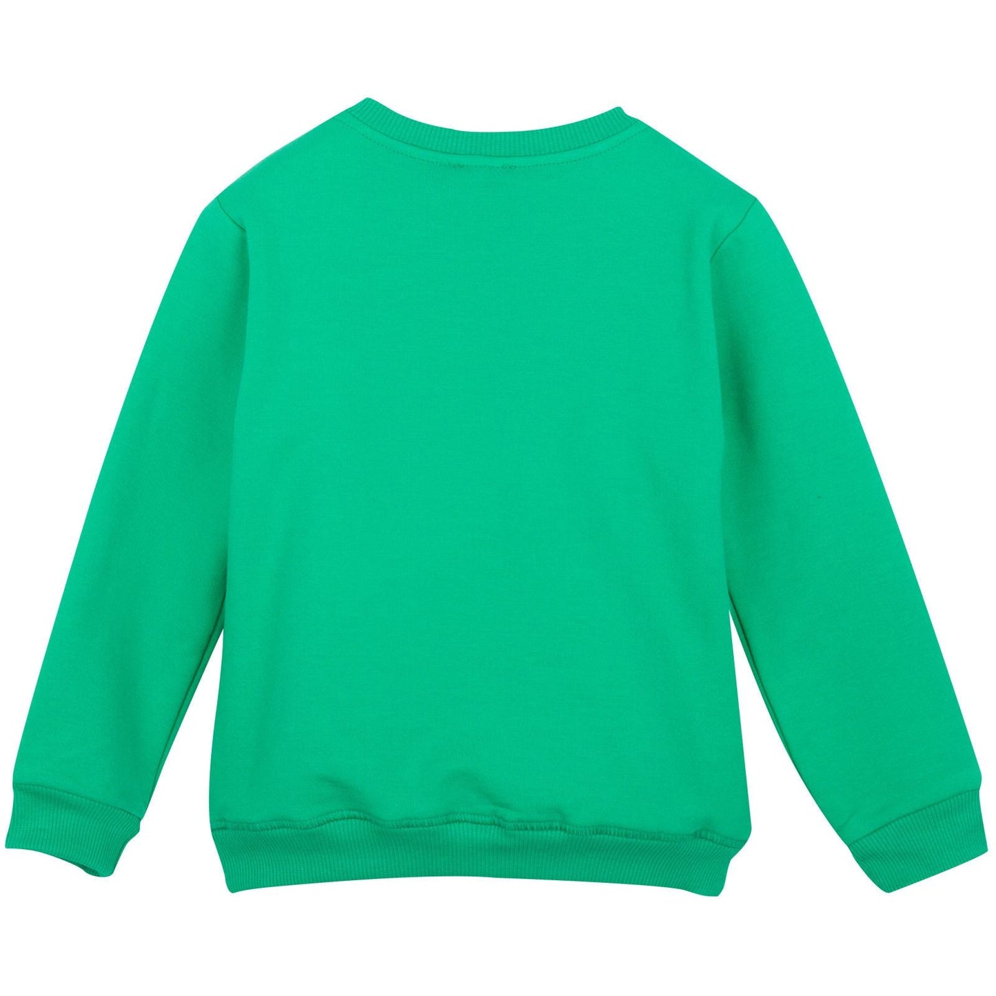 Boys Green Tiger Embroidered Sweatshirt