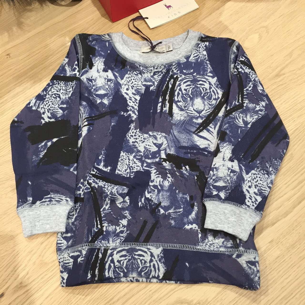 Boys Blue Cotton Sweatshirt