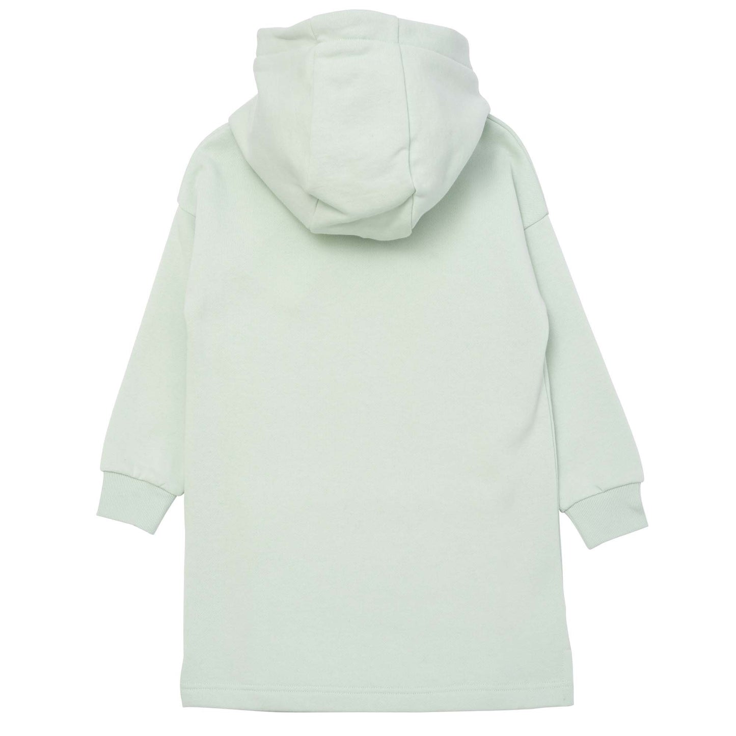 Girls Light Green Tiger Hooded Dress