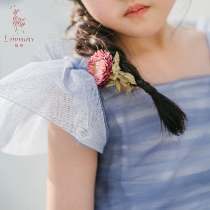 女童星光蓝蝴蝶袖礼服裙