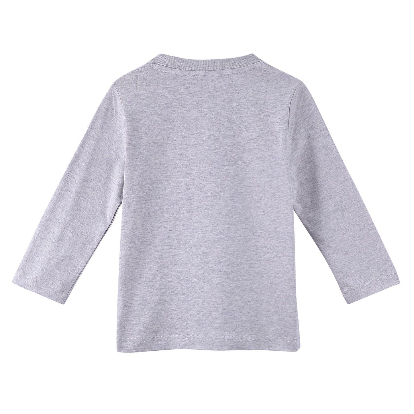 Boys Grey Fancy Illustration Printed Cotton Long Sleeve T-Shirt