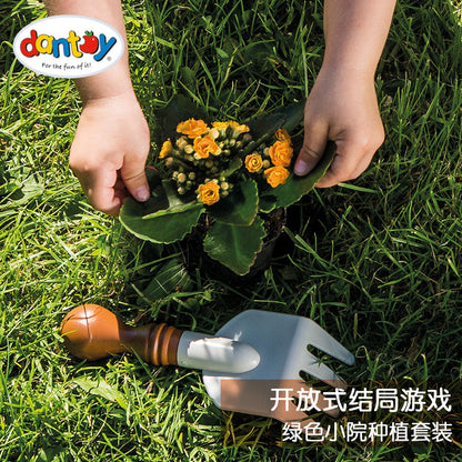 Dantoy绿色小院种植套装