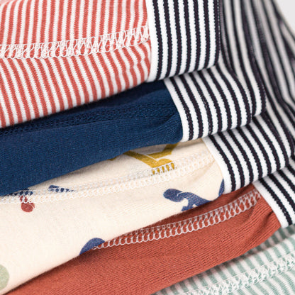 男童彩色棉内裤套装(5件)