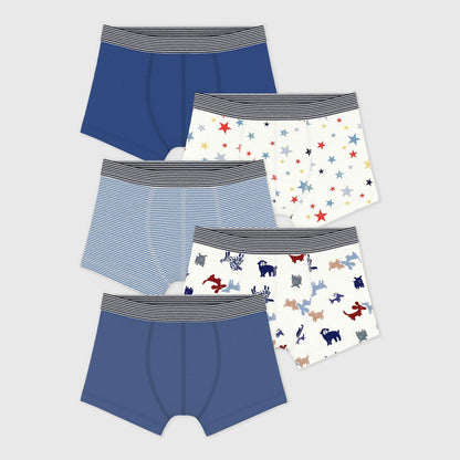 男童彩色棉内裤套装(5件)