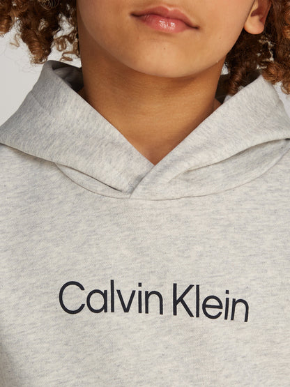 Calvin Klein Kids Logo Regular Terry Hoodie in Grey