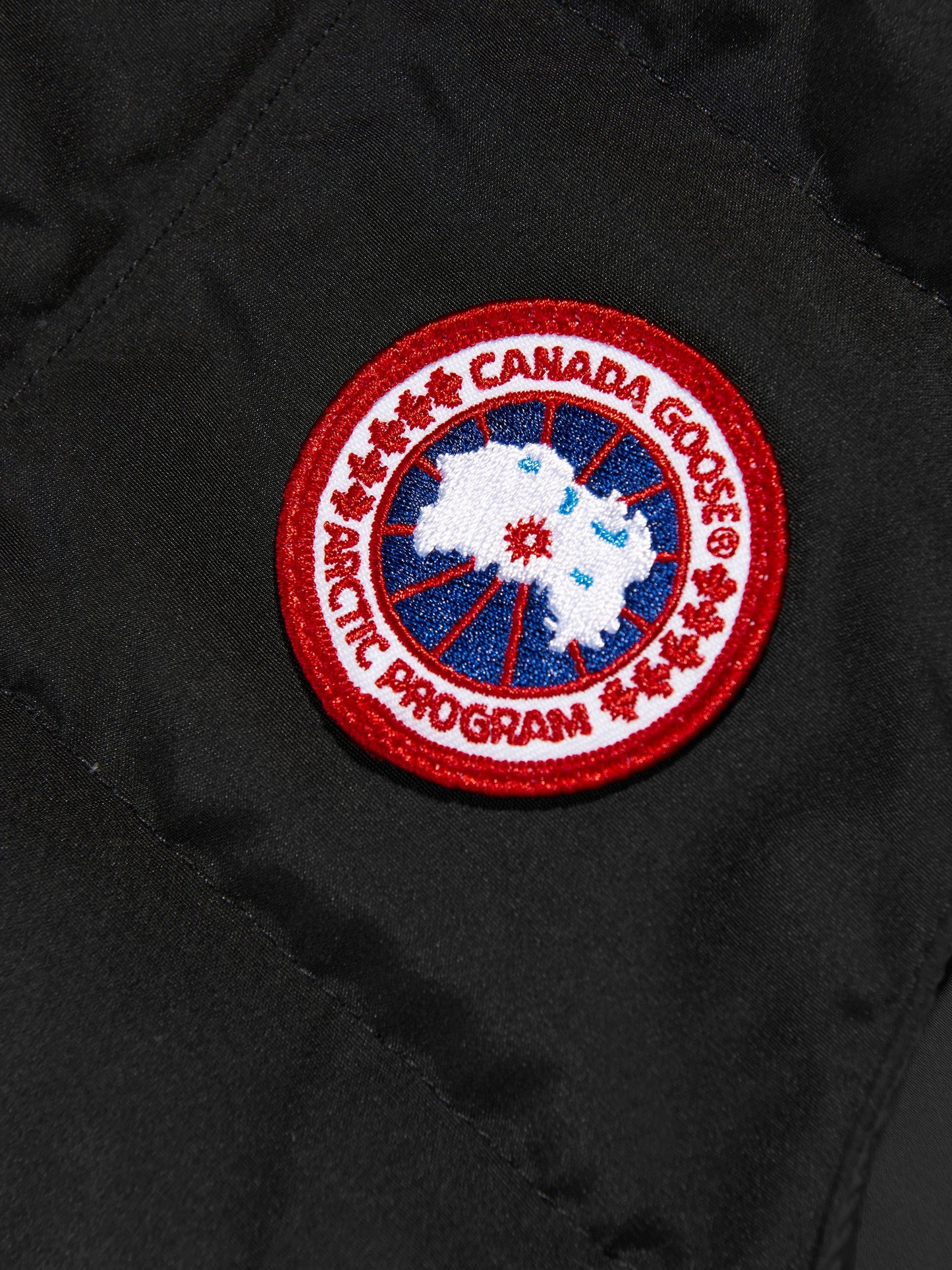 Canada Goose 儿童羽绒填充 Vanier 马甲（黑色）