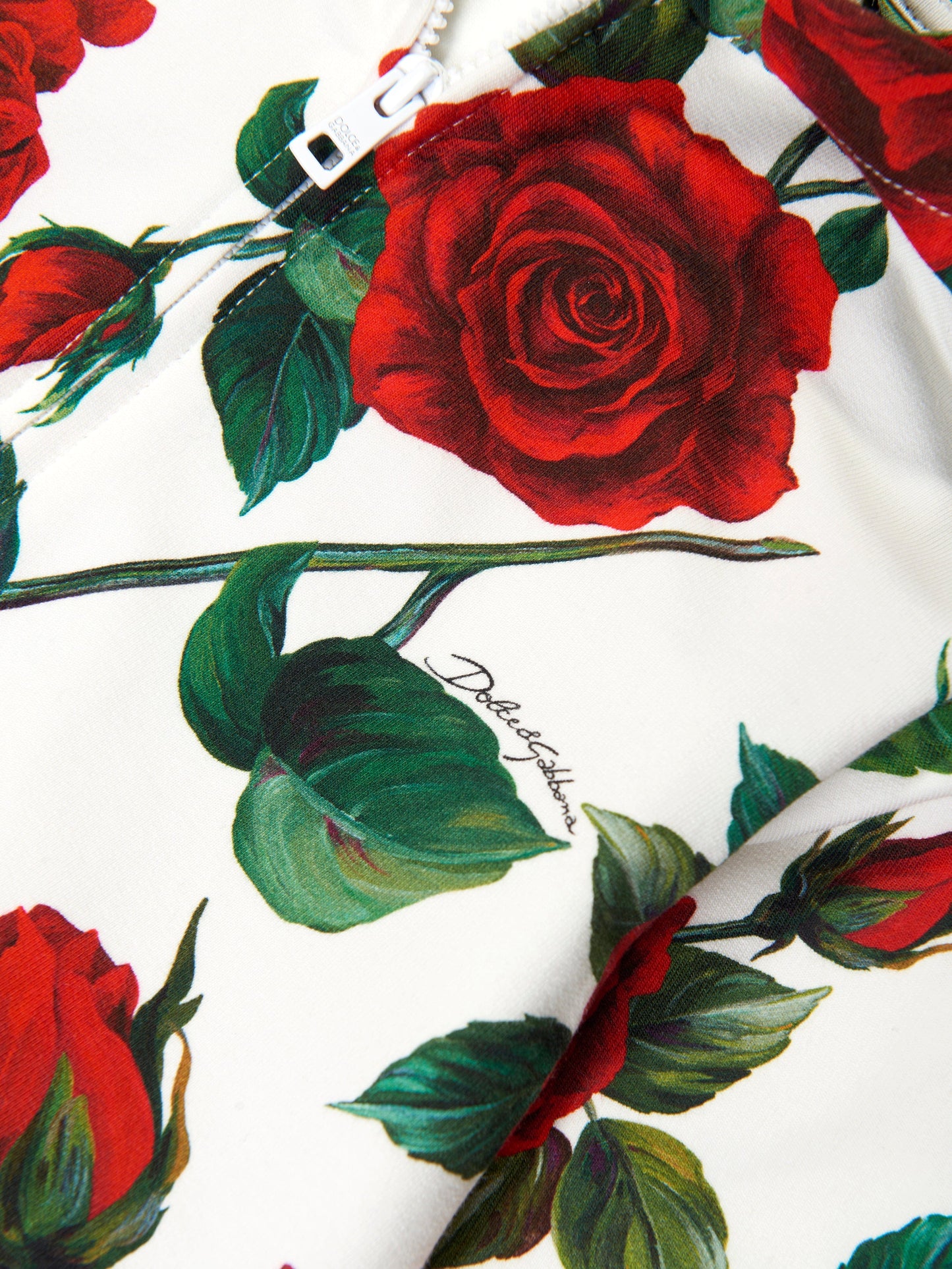 Dolce & Gabbana 女婴玫瑰拉链上衣（白色）