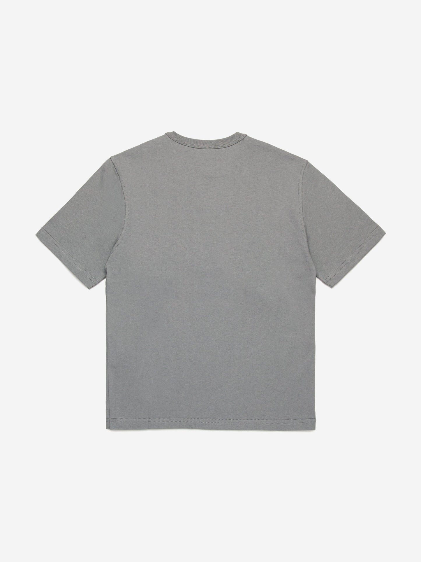 Boys Logo T-Shirt in Grey
