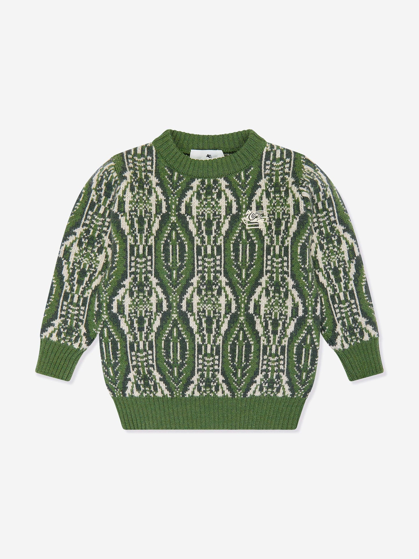 Etro 男童绿色羊毛针织套衫