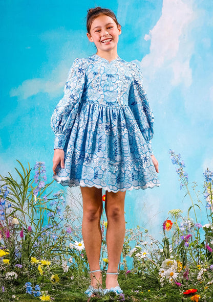 Girls Evangeline Embroidered Dress in Blue