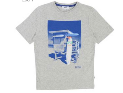 Boys Gray & Blue T-shirt