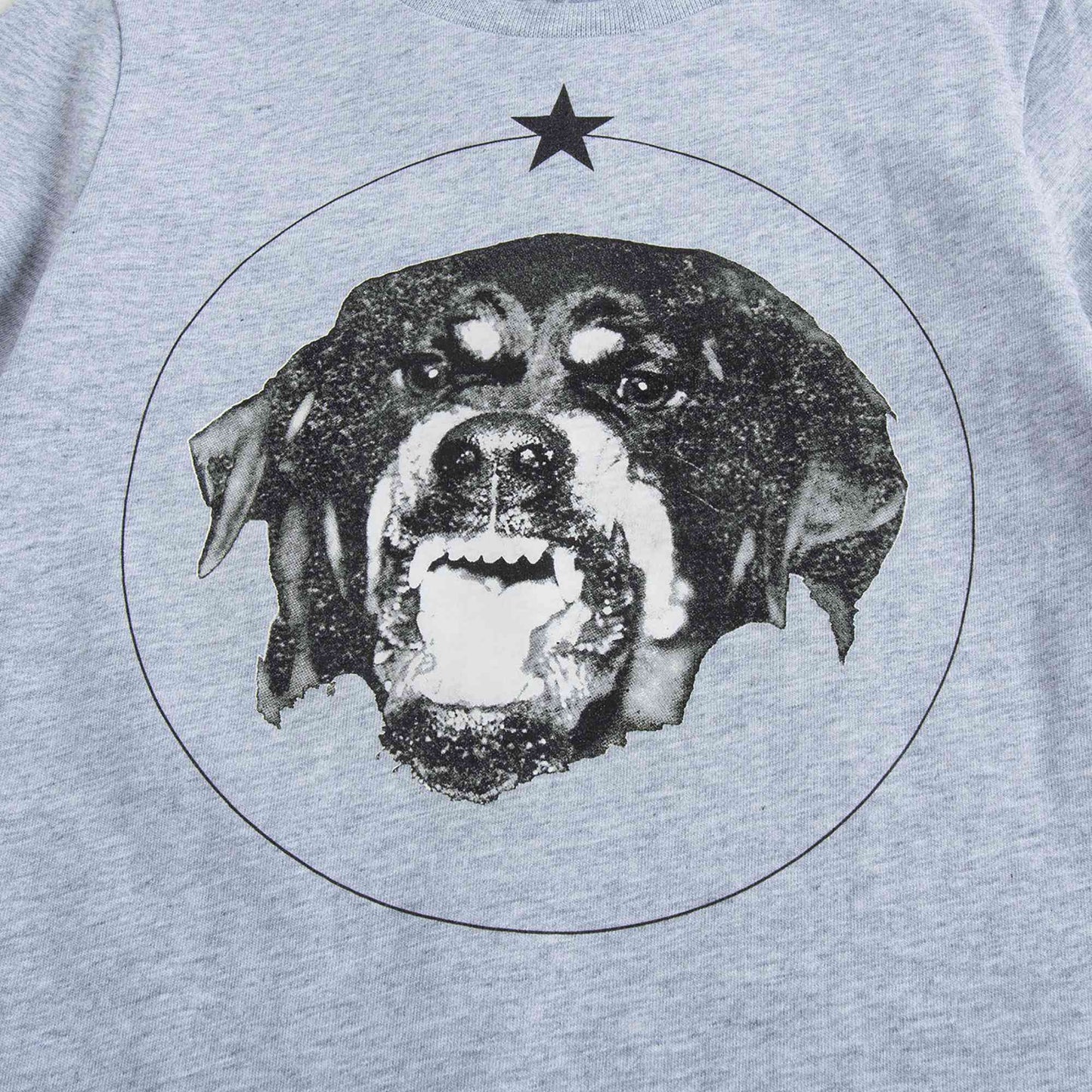 Boys Grey Dog Printed Cotton  T-shirt
