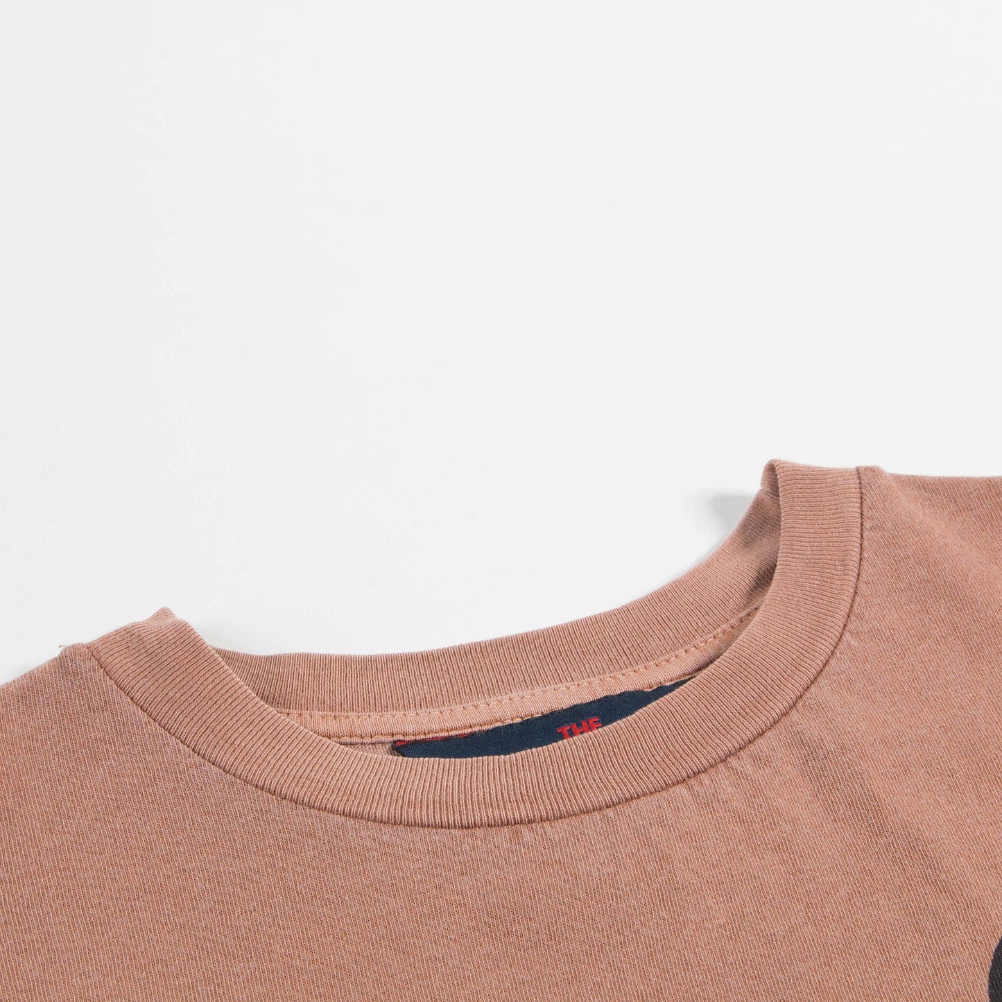 Girls Brown Bird Cotton T-shirt