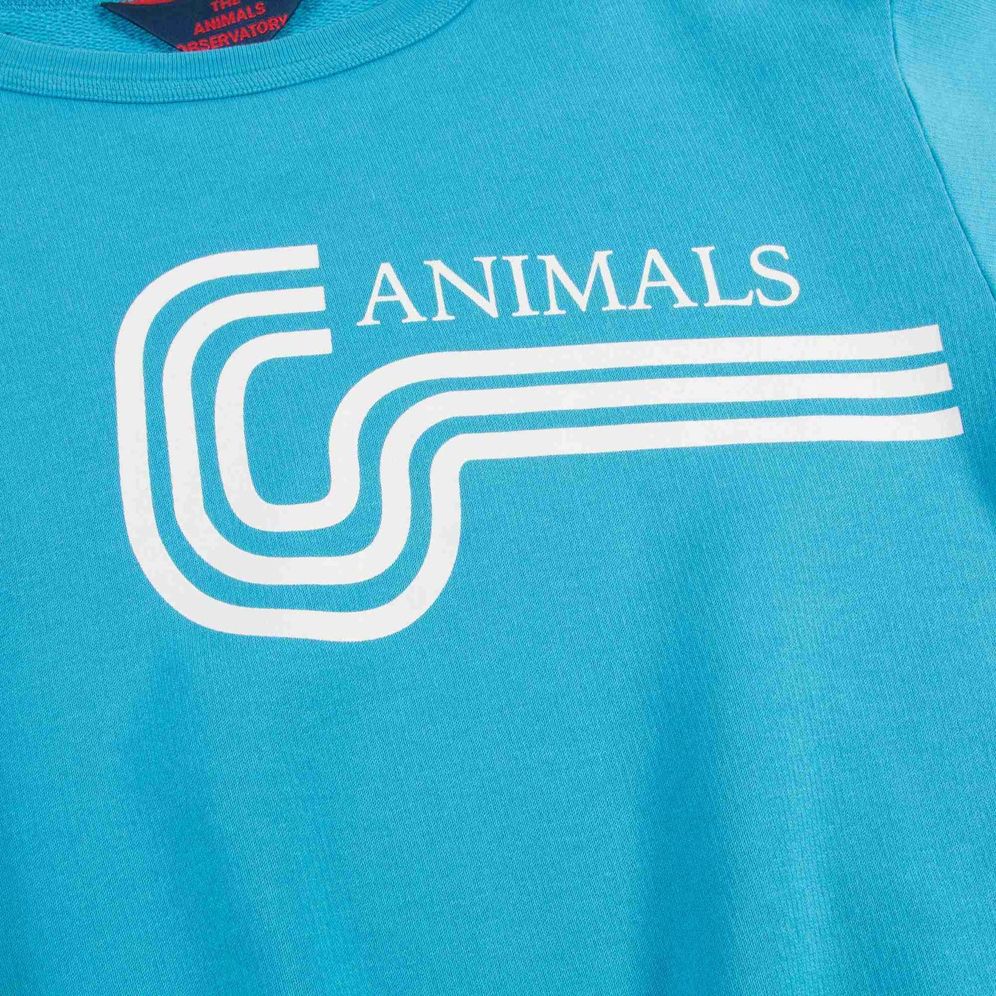 Girls Blue Animals Cotton Swertshirt