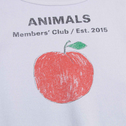 Girls Lavand Peach Cotton Sweatshirt