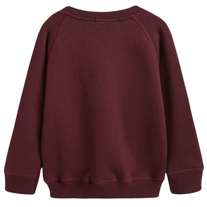 Boys Wine Red Mountain Printed Cotton Sweater