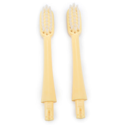 Toothbrush Replacement head（两个一组，发货颜色随机）