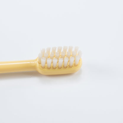 Toothbrush Replacement head（两个一组，发货颜色随机）