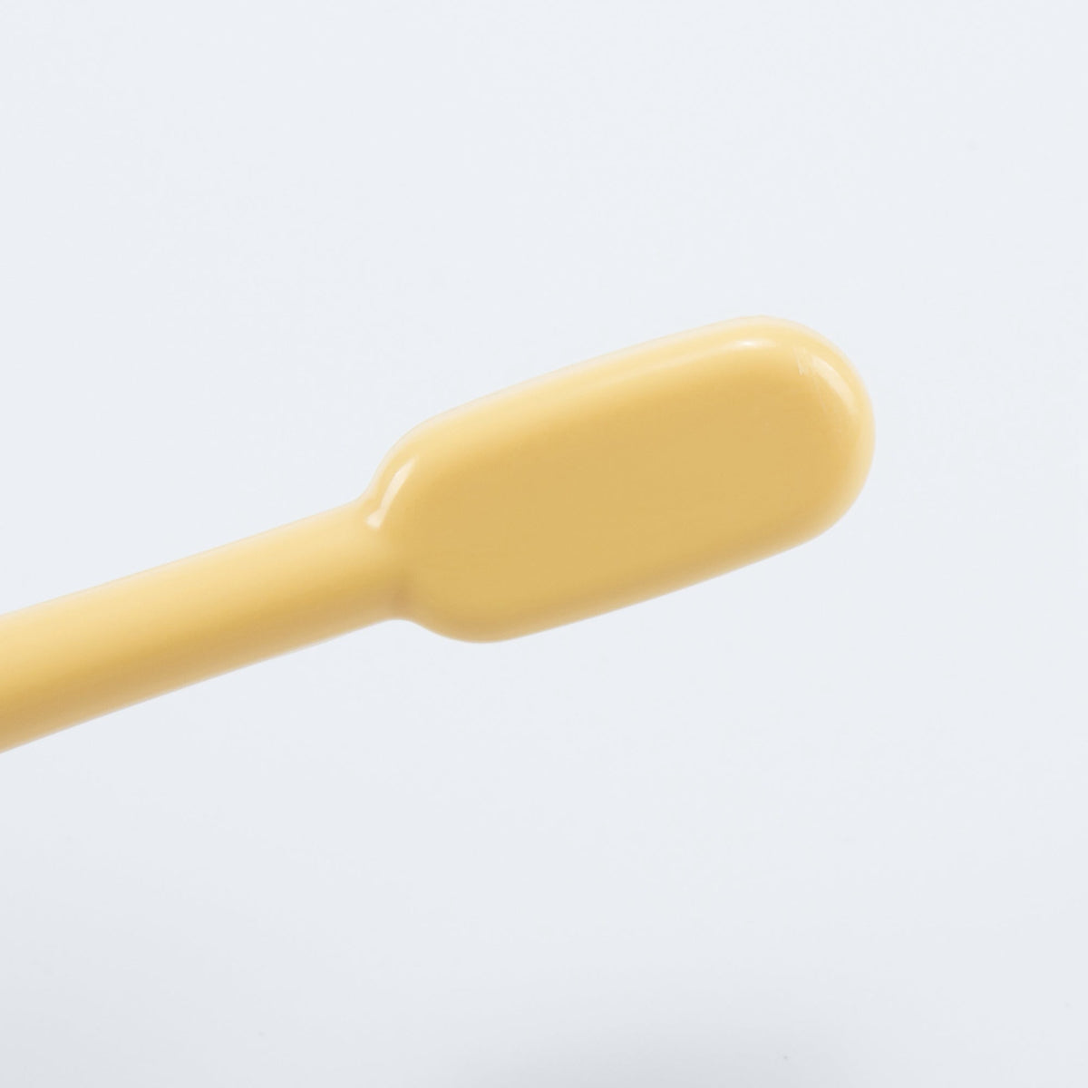 Toothbrush Replacement head（两个一组，发货颜色随机）