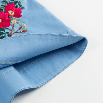 Baby Girls Blue Embroidered Dress