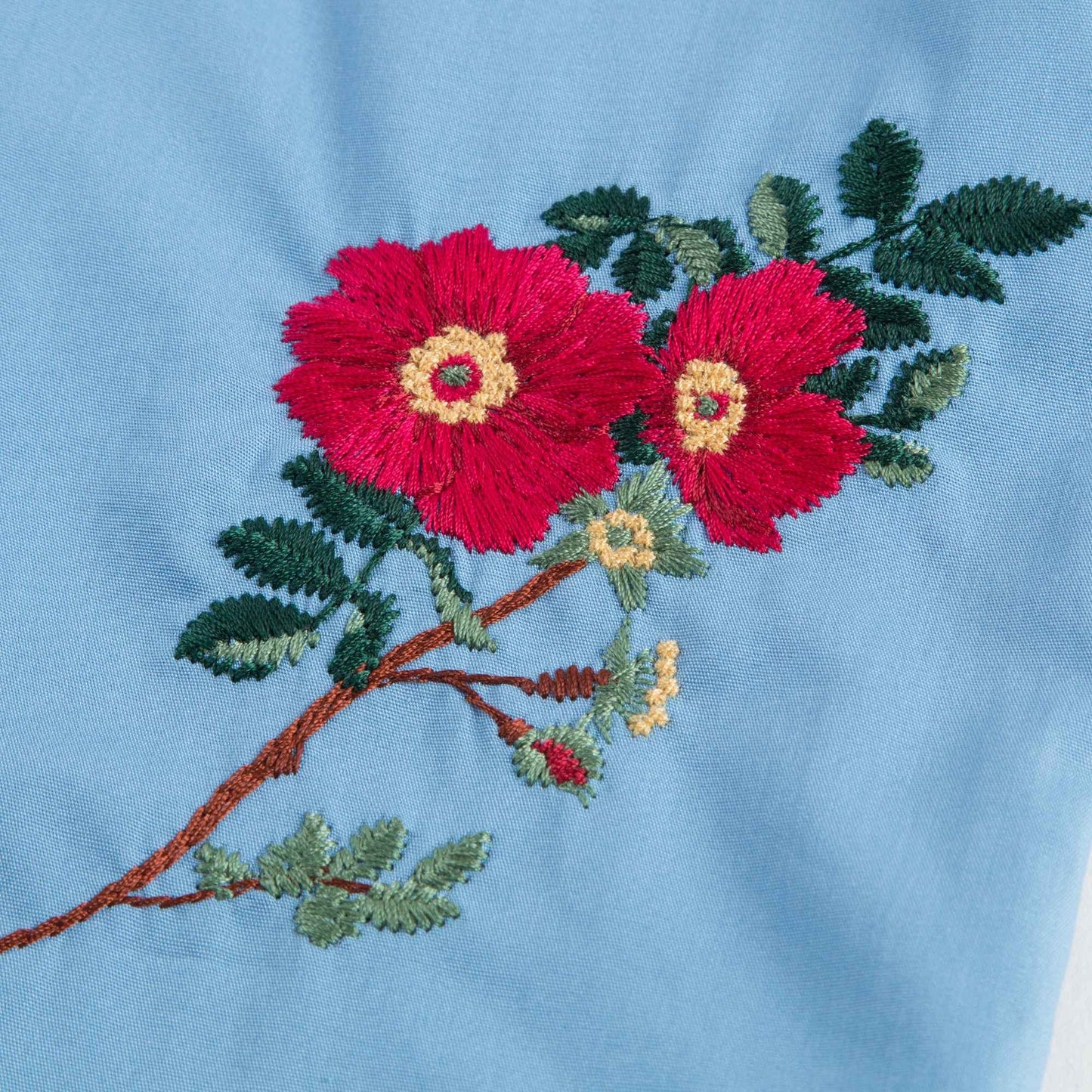 Baby Girls Blue Embroidered Dress