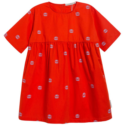 Girls Carmine & Light Cerulean Blue Dress