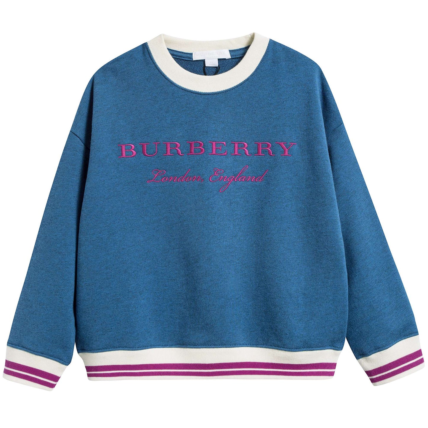 Girls Hydrangea Blue Cotton Sweatshirt