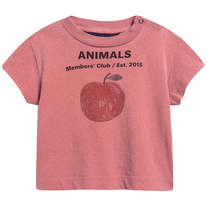 Baby Girls Red Peach Cotton T-shirt
