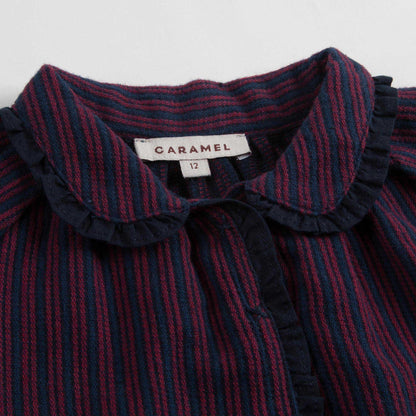 Baby Girls Purple Rayol Striped Cotton Woven Dress