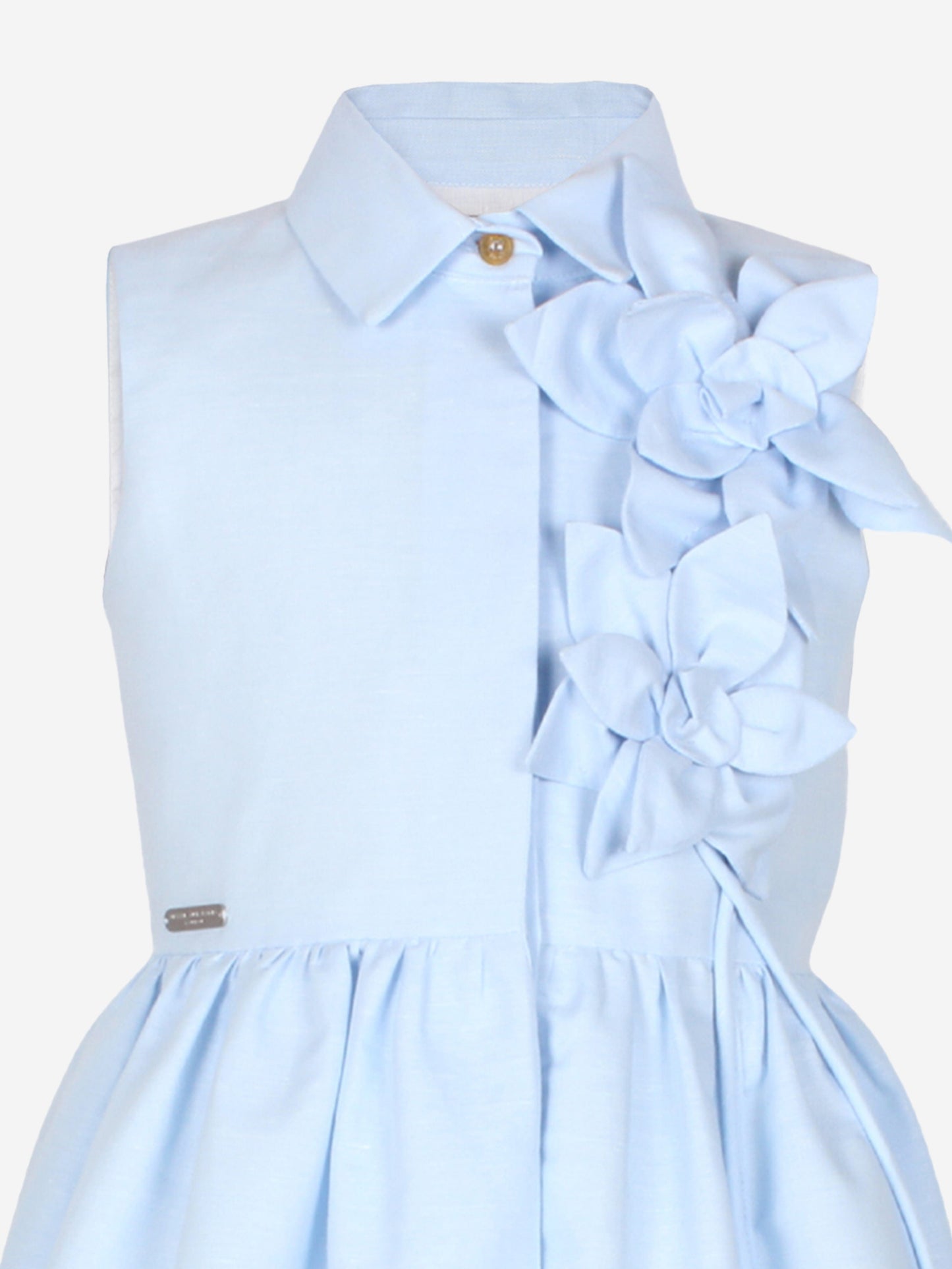 Jessie And James Girls Evergreen Flower Dress in Blue