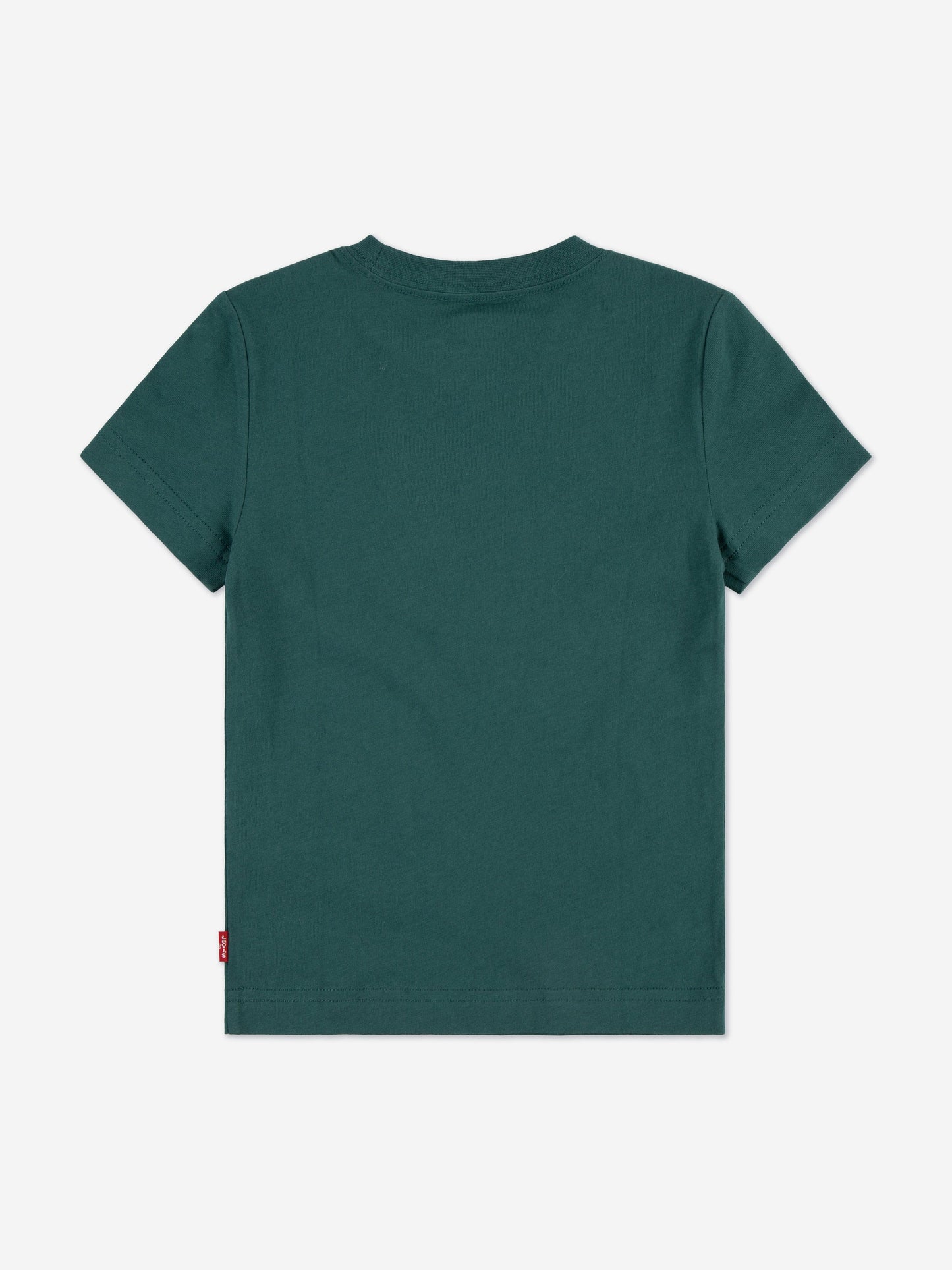 Levi's Boys Batwing T-Shirt in Green