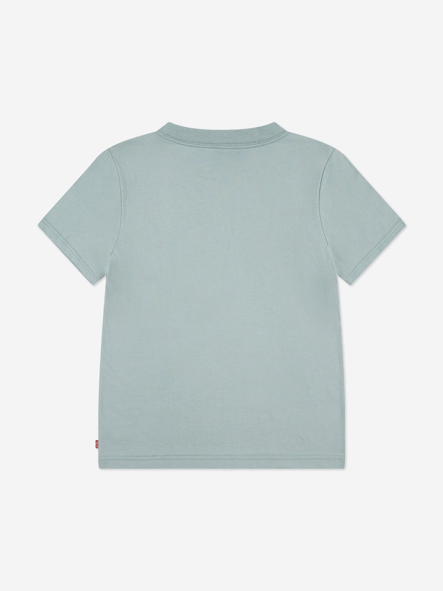 Levi's Boys Batwing Chest Hit T-Shirt in Green