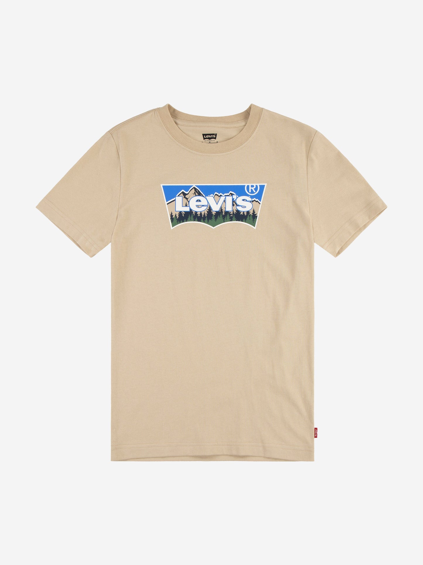 Levi's Boys Forested Mountains Batwing T-Shirt in Beige