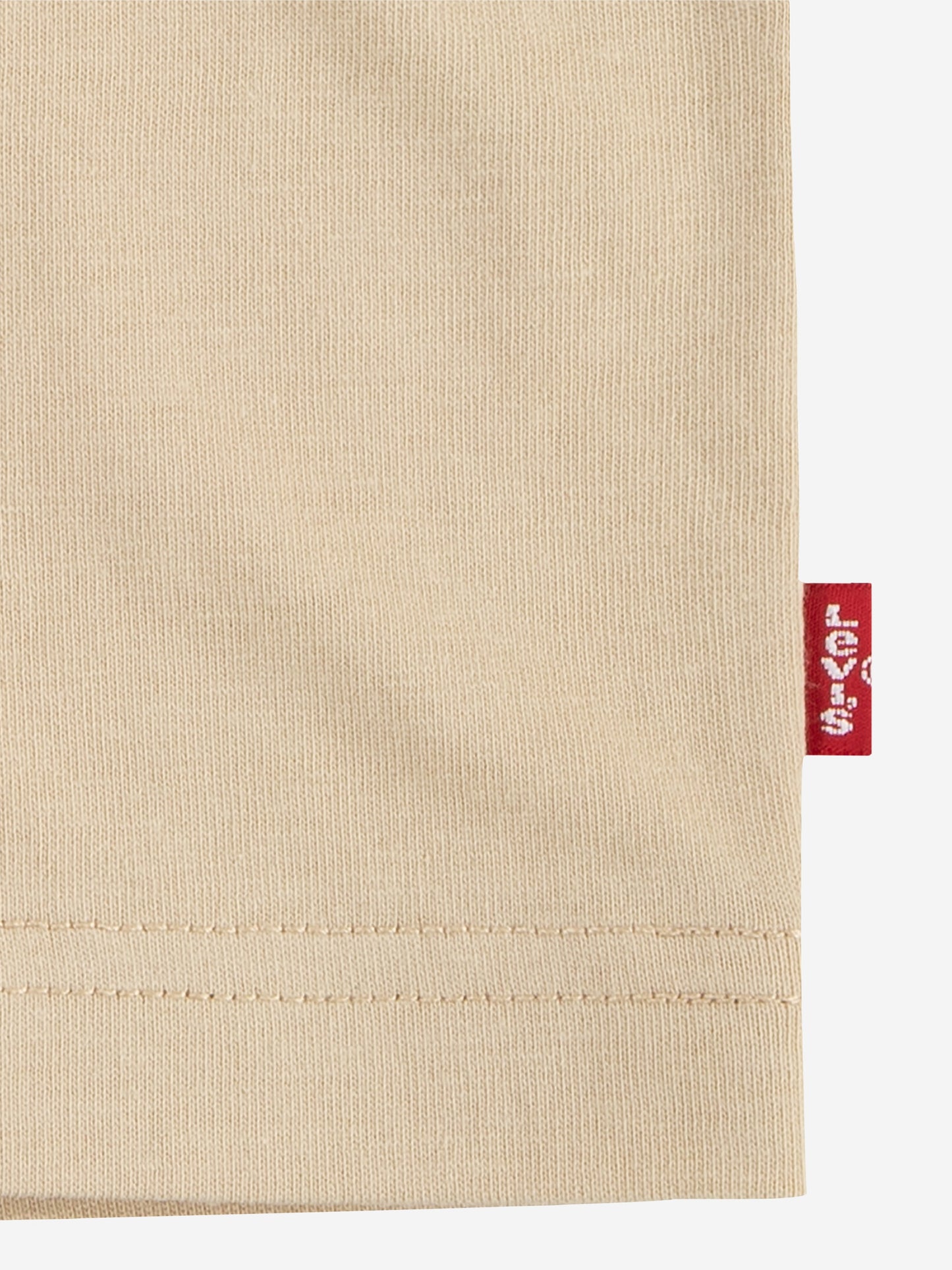Levi's Boys Forested Mountains Batwing T-Shirt in Beige